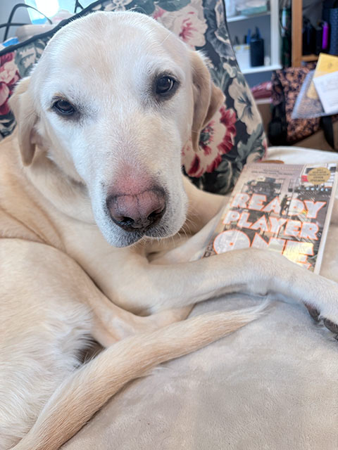 Aaron Mahnke Cabinet of Curiosities