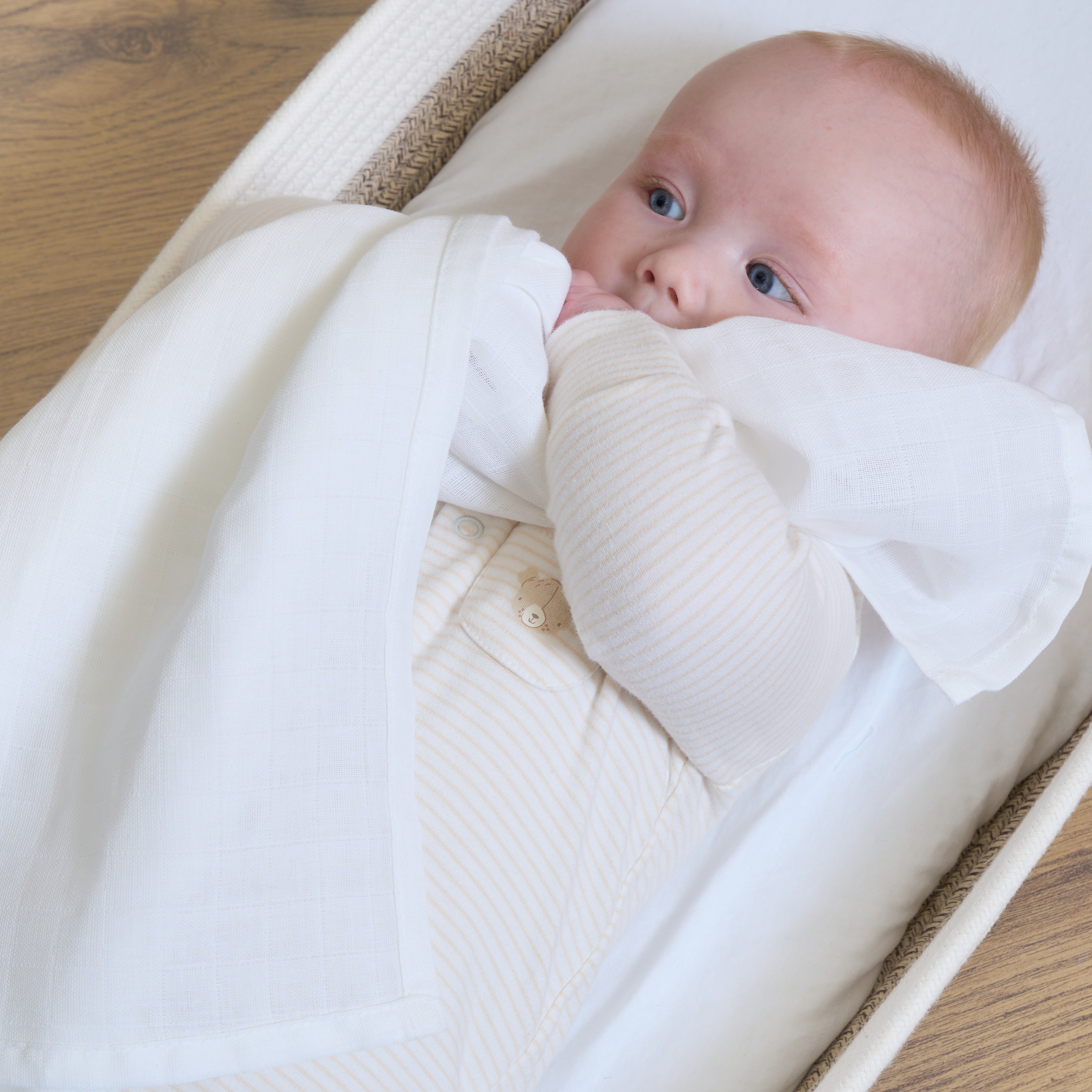 Clair de Lune Muslin Squares