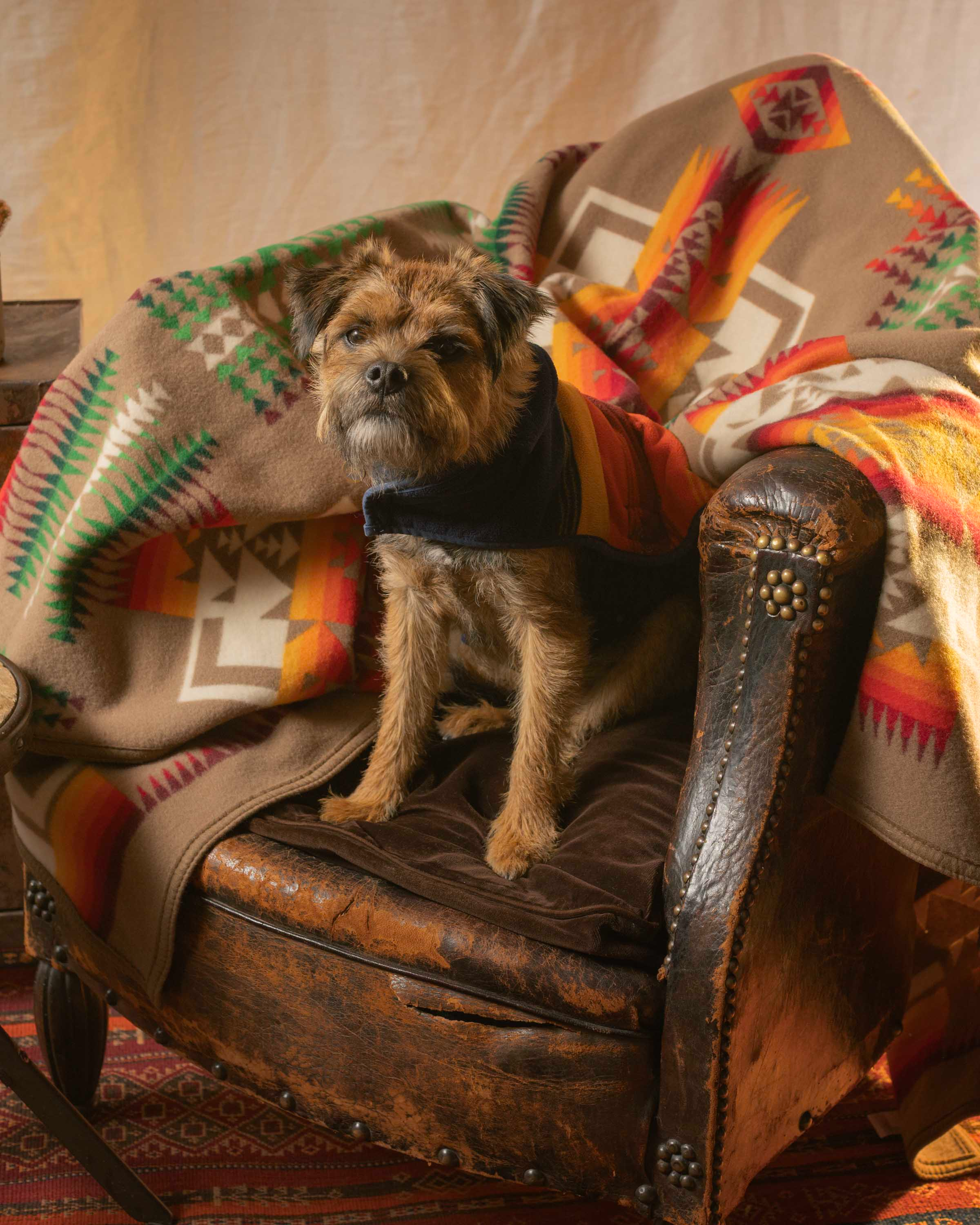 Pendleton Chief Joseph Jacquard Robe Blanket Khaki