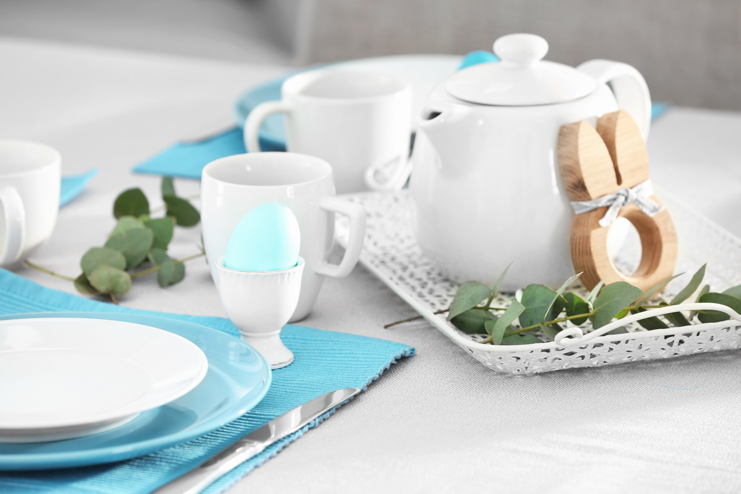 Powder blue charger plate