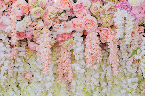 Pink Flower Backdro