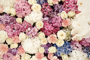 Flower Wall Backrop