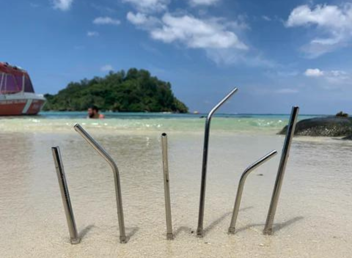 stainless steel straws