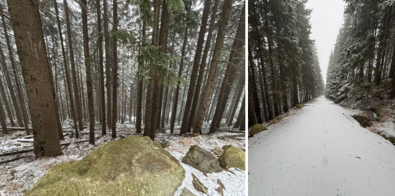 mount Sněžka wim hof
