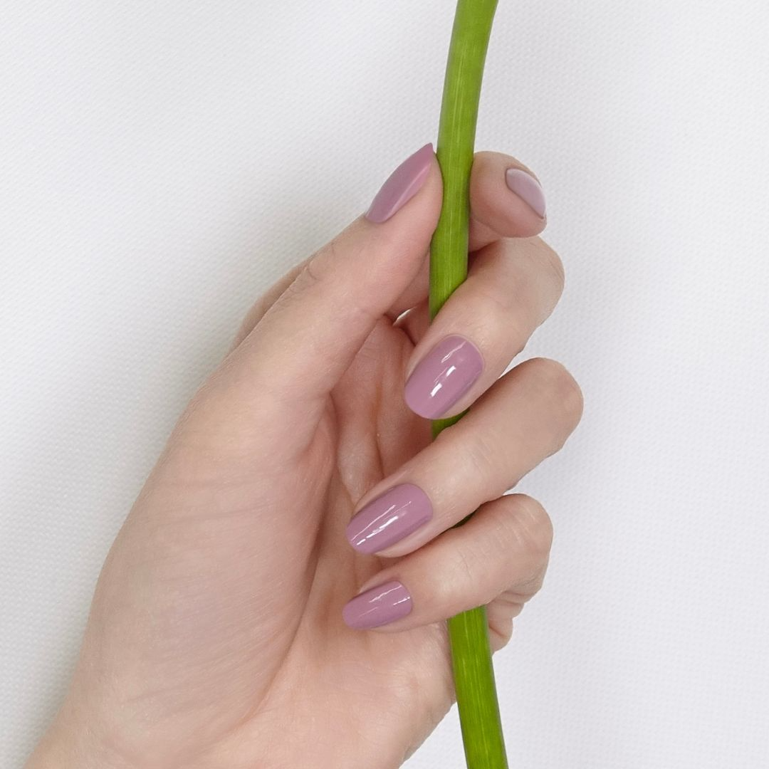 リュクスレオパード