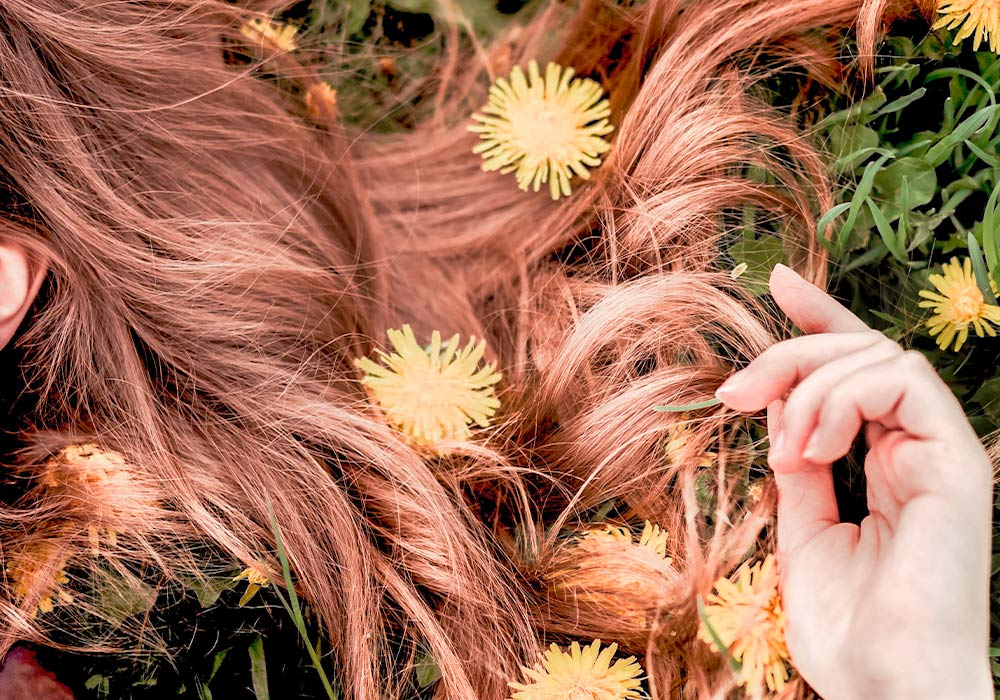 Braune Haare einer Frau, die in einer Wiese voller Löwenzahn liegt