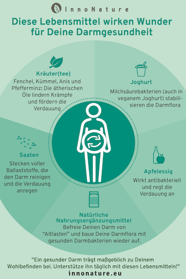 Infografik in hellgrün über "Diese Lebensmittel wirken Wunder für Deine Darmgesundheit"