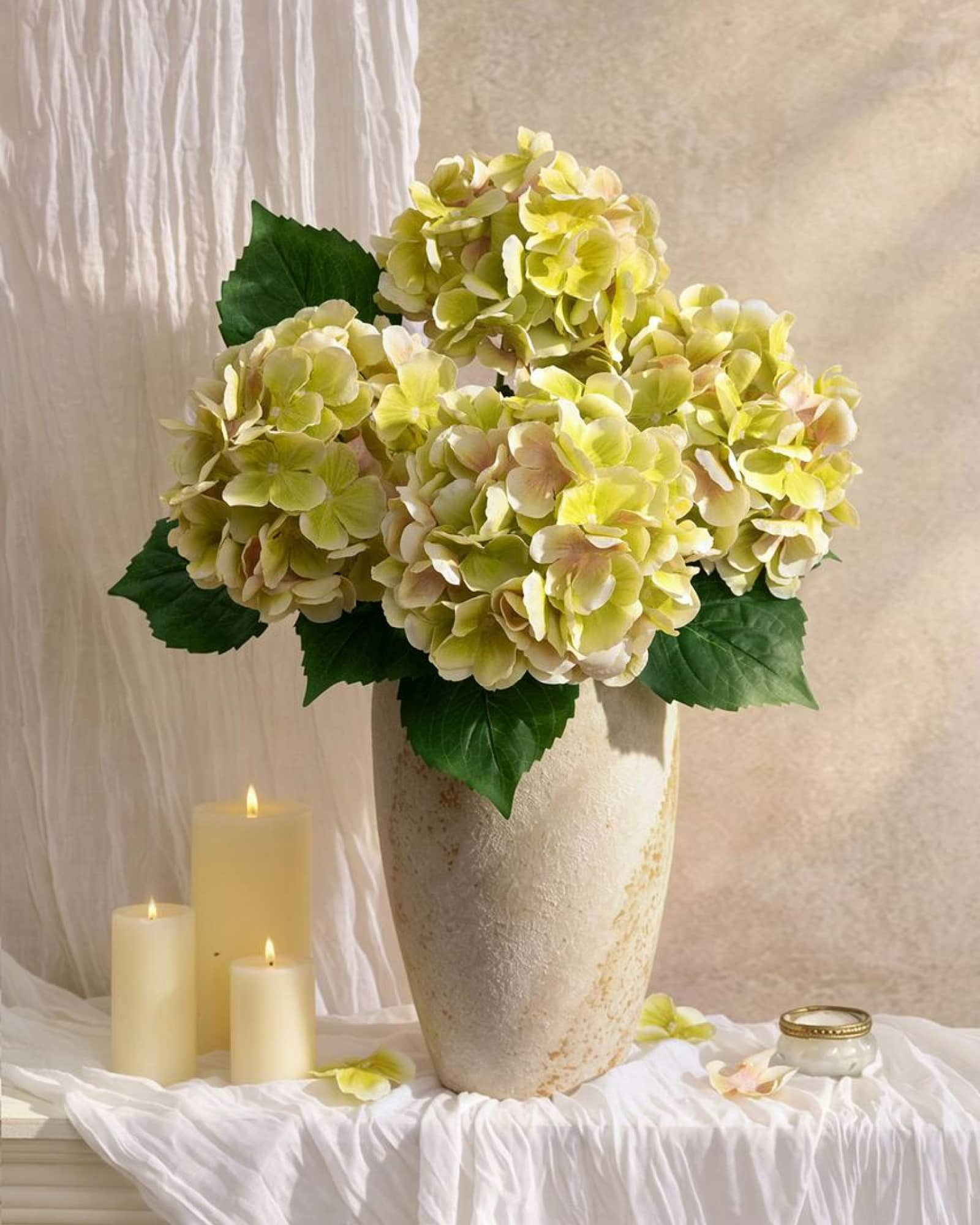 Hydrangeas - Light Green