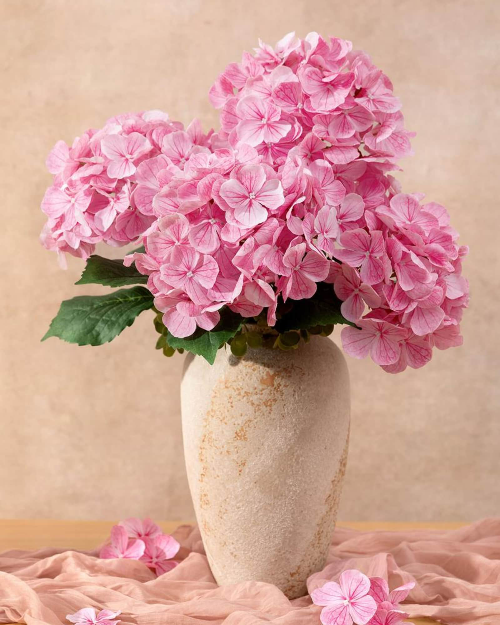 Hydrangeas - Blush-pink Heirloom