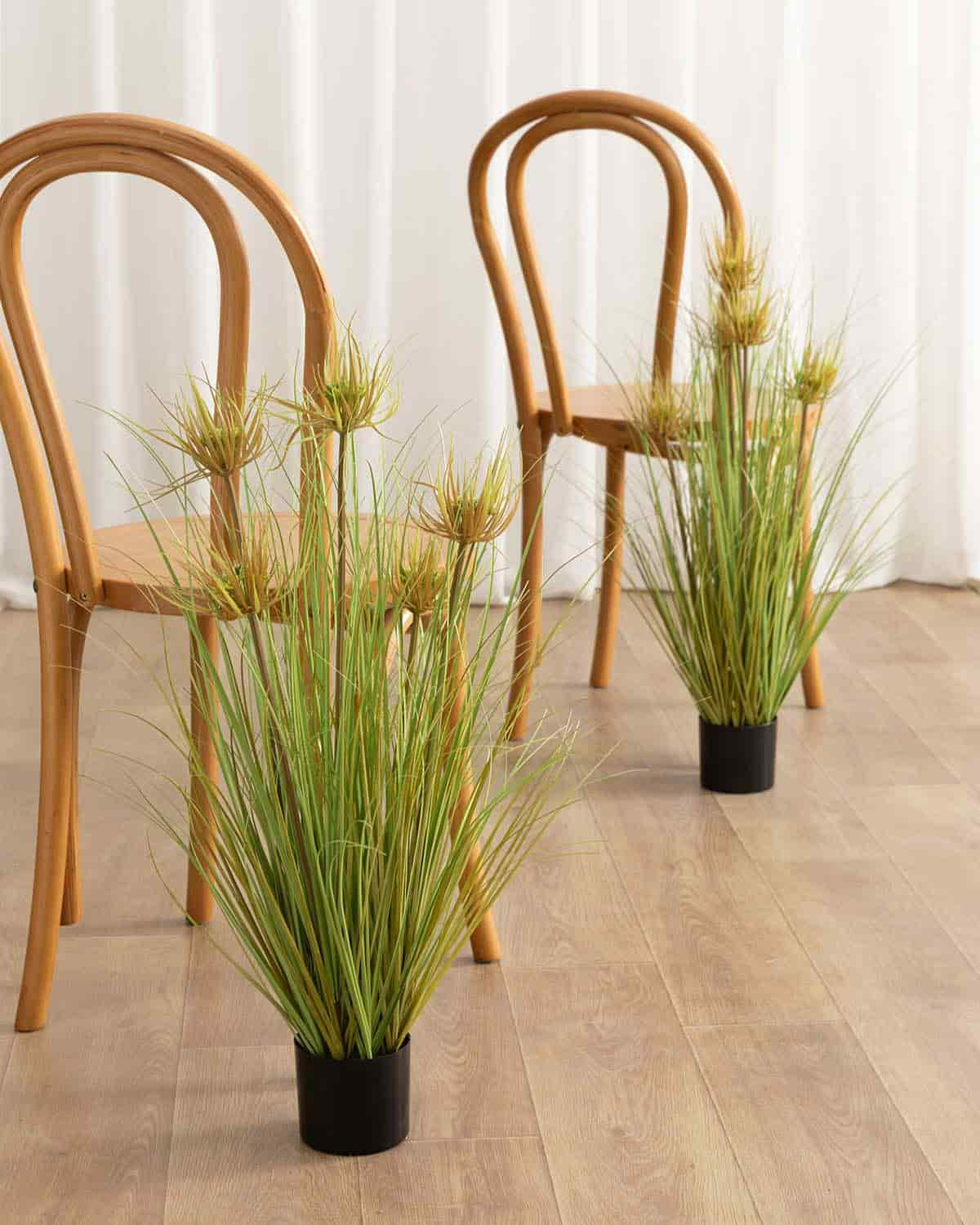 Lush Maiden Grass Meadow in Green