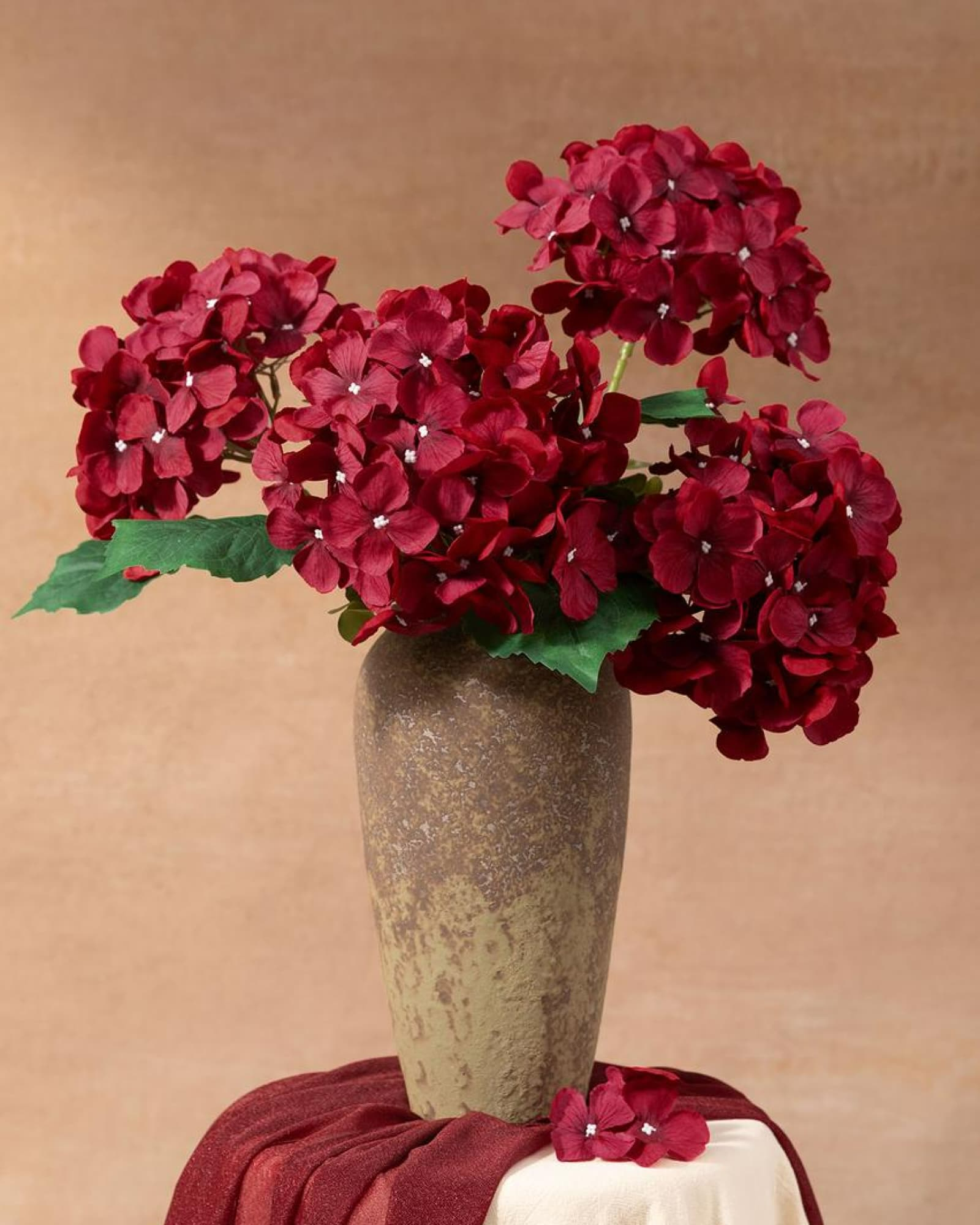 Hydrangeas - Black Baccara