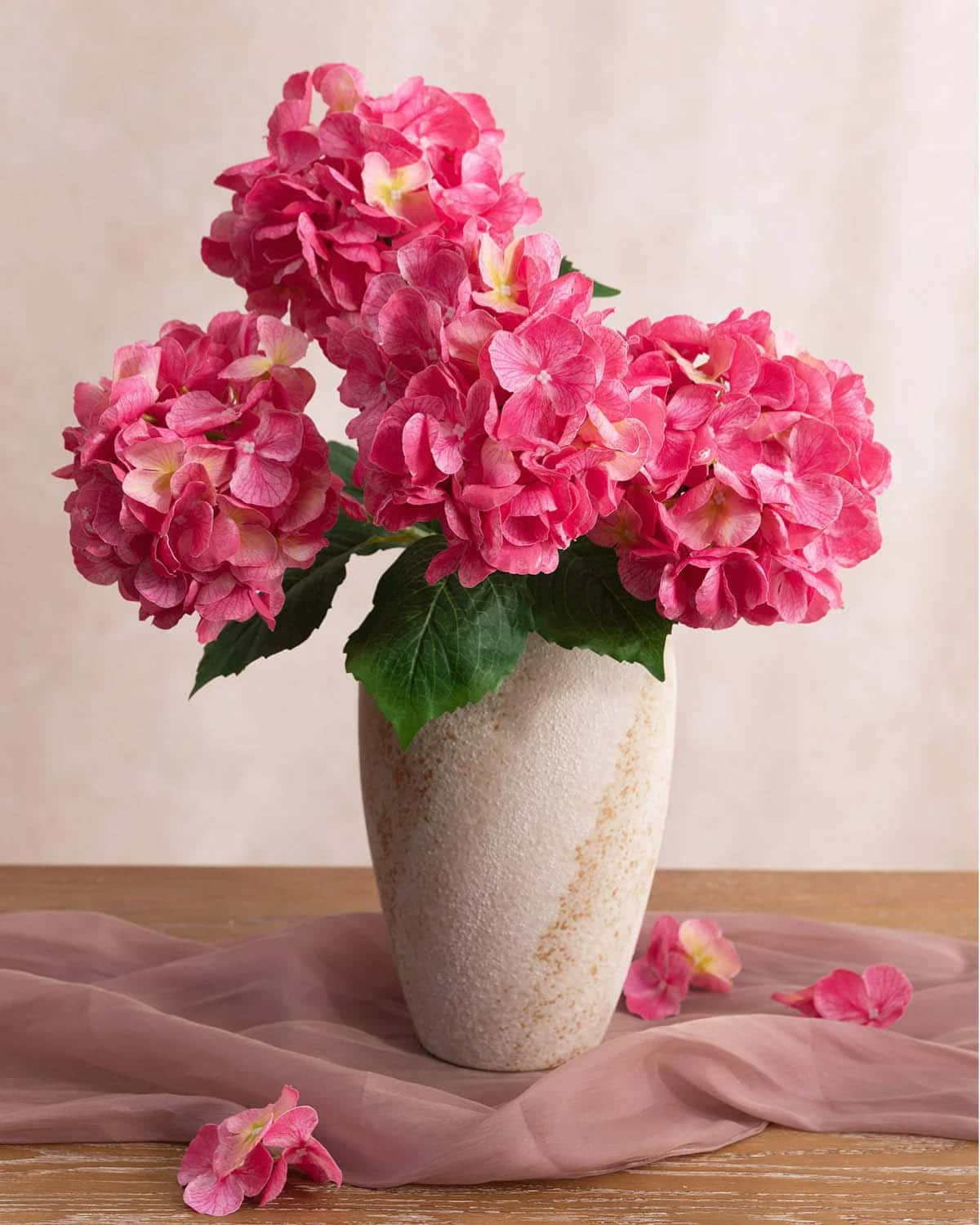 Hydrangeas with Stem