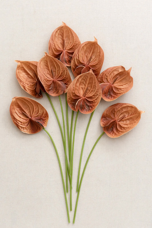 15" Anthurium Flowers with Stem
