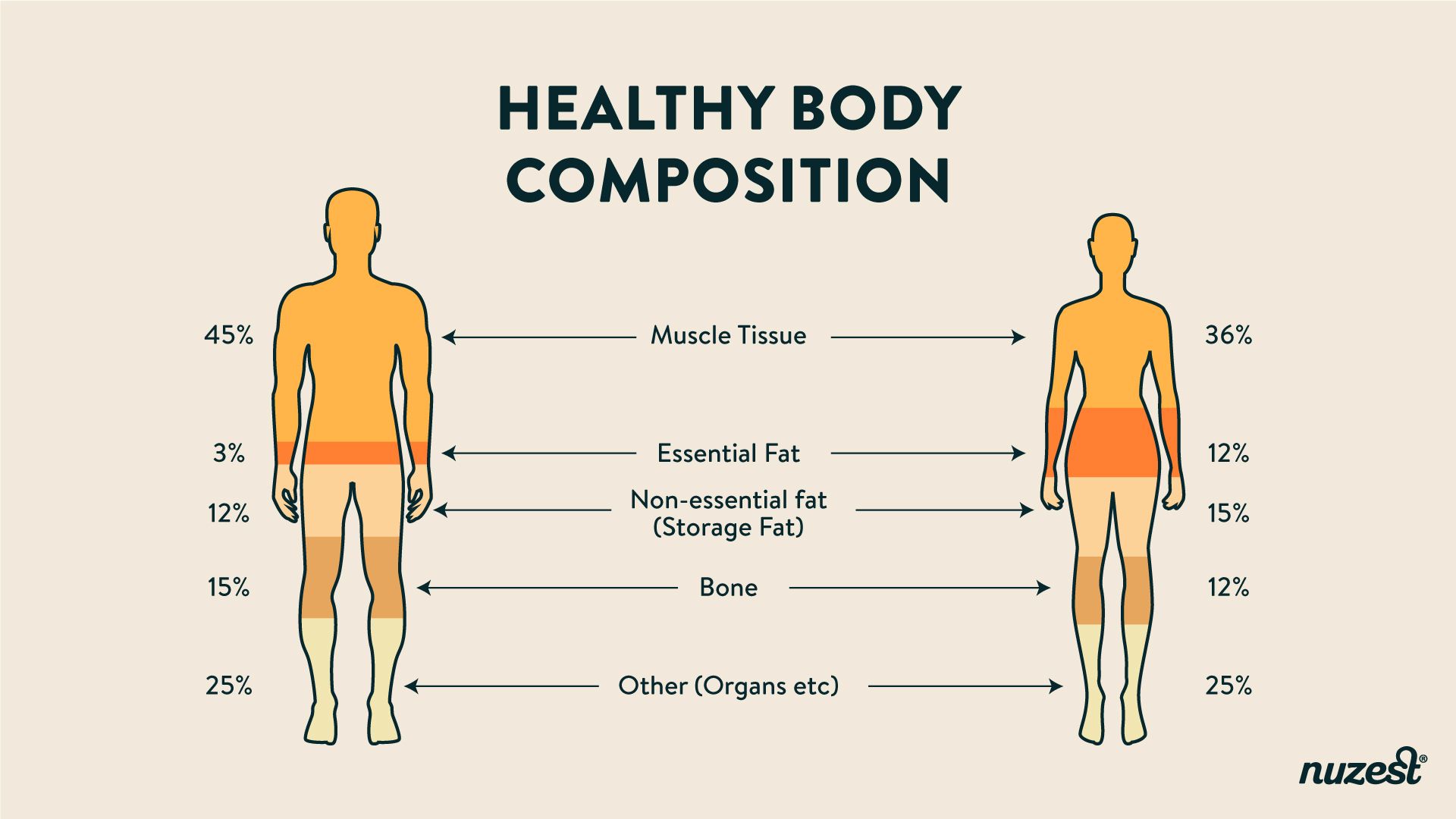 Top 5 Health Concerns Of Hong Kong Citizens Weight Management Nuzest SG