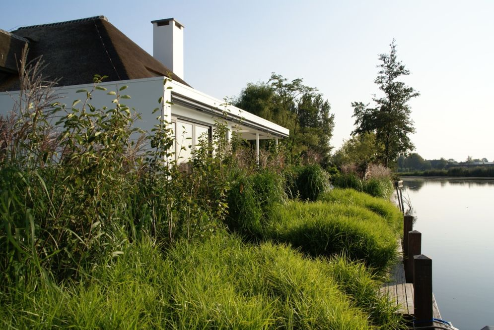 moderne wilde tuin
