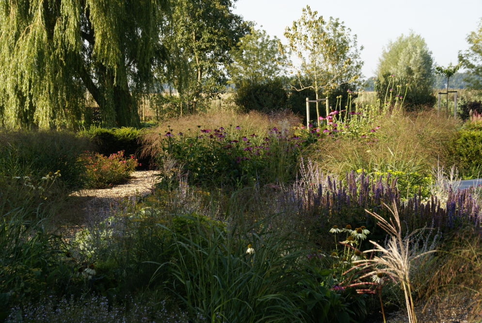 moderne wilde tuin