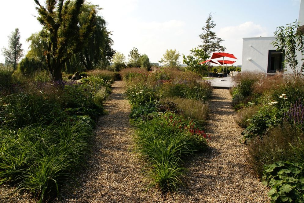 moderne wilde tuin