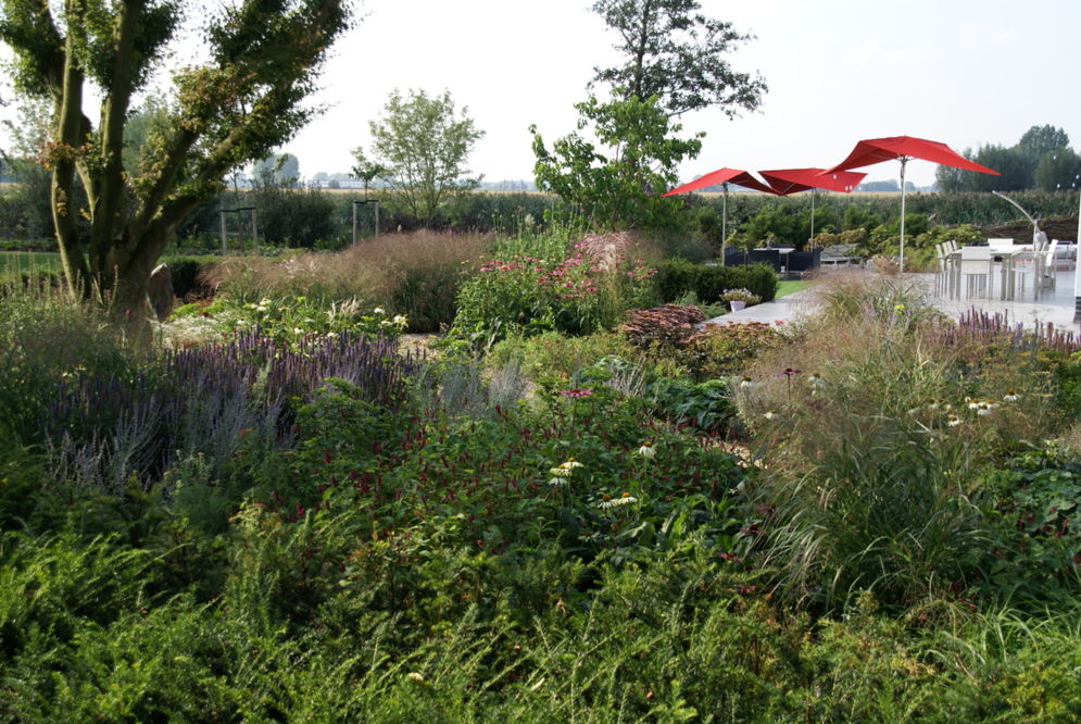 moderne wilde tuin