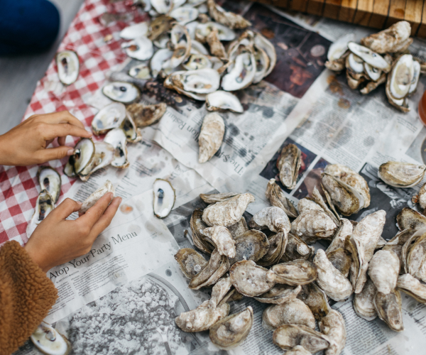 Pappy Van Winkle Oyster Shucker