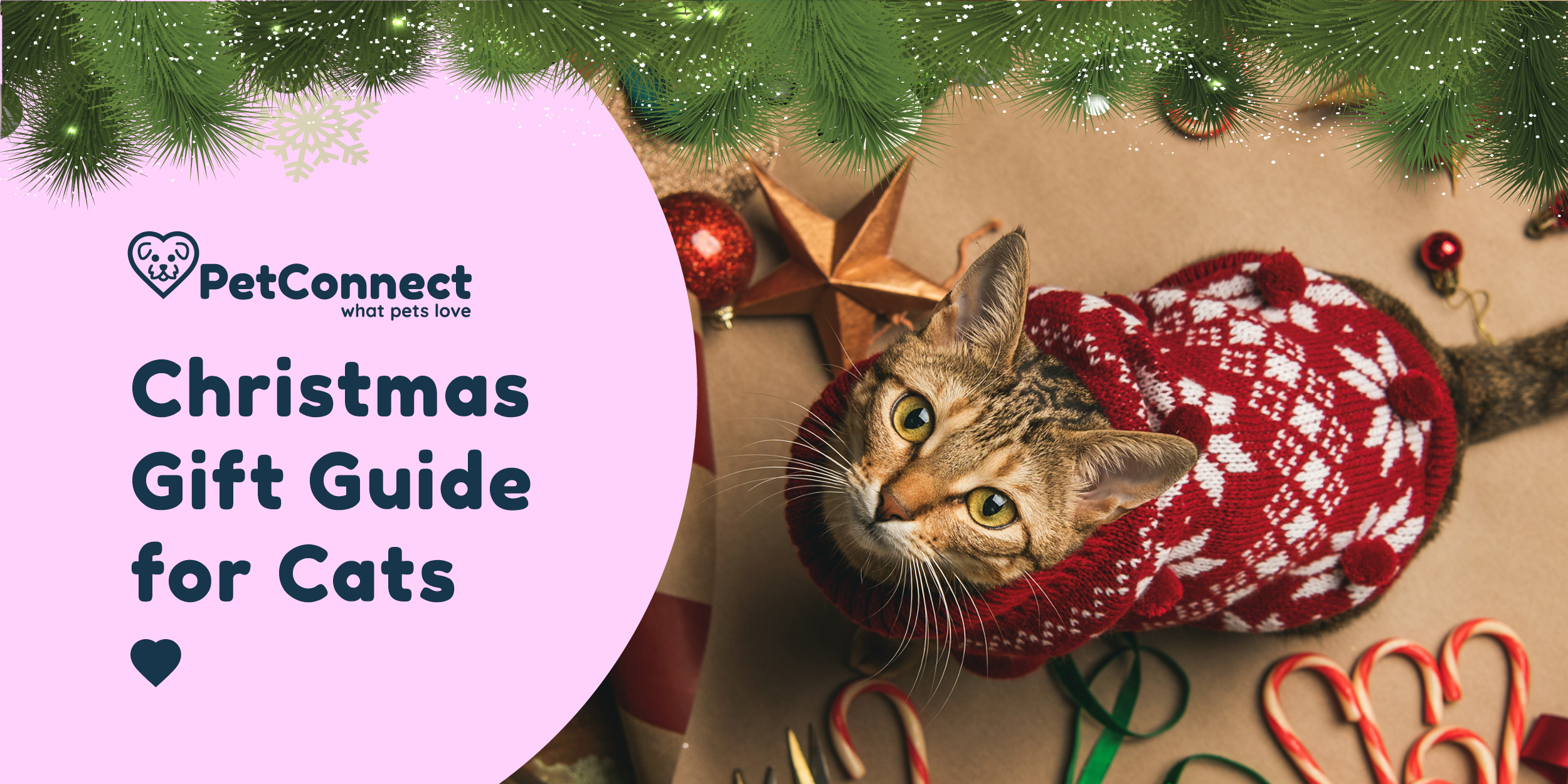 Pet Connect Christmas Collection