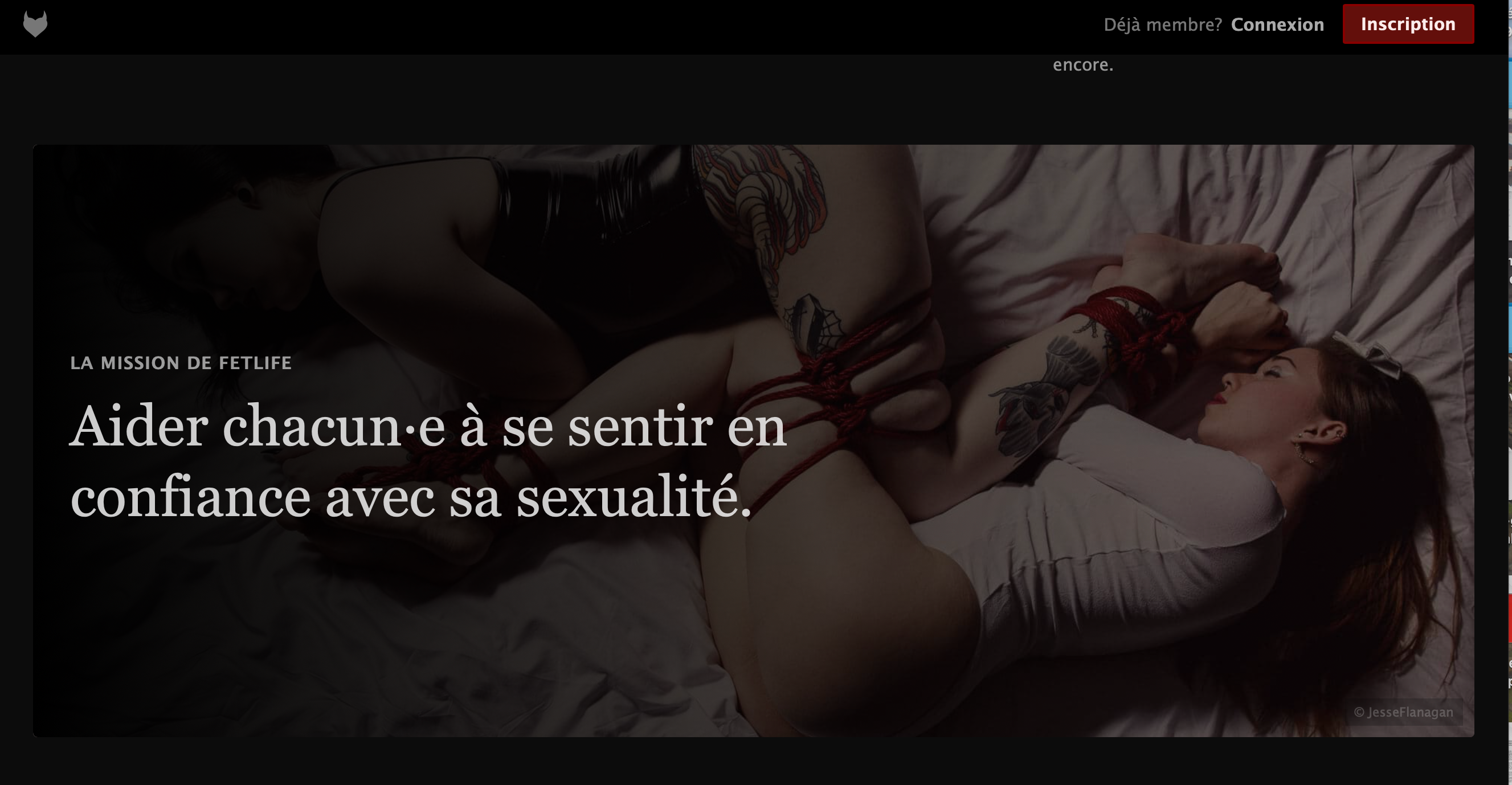 illustration du site fetlife : page d'accueil