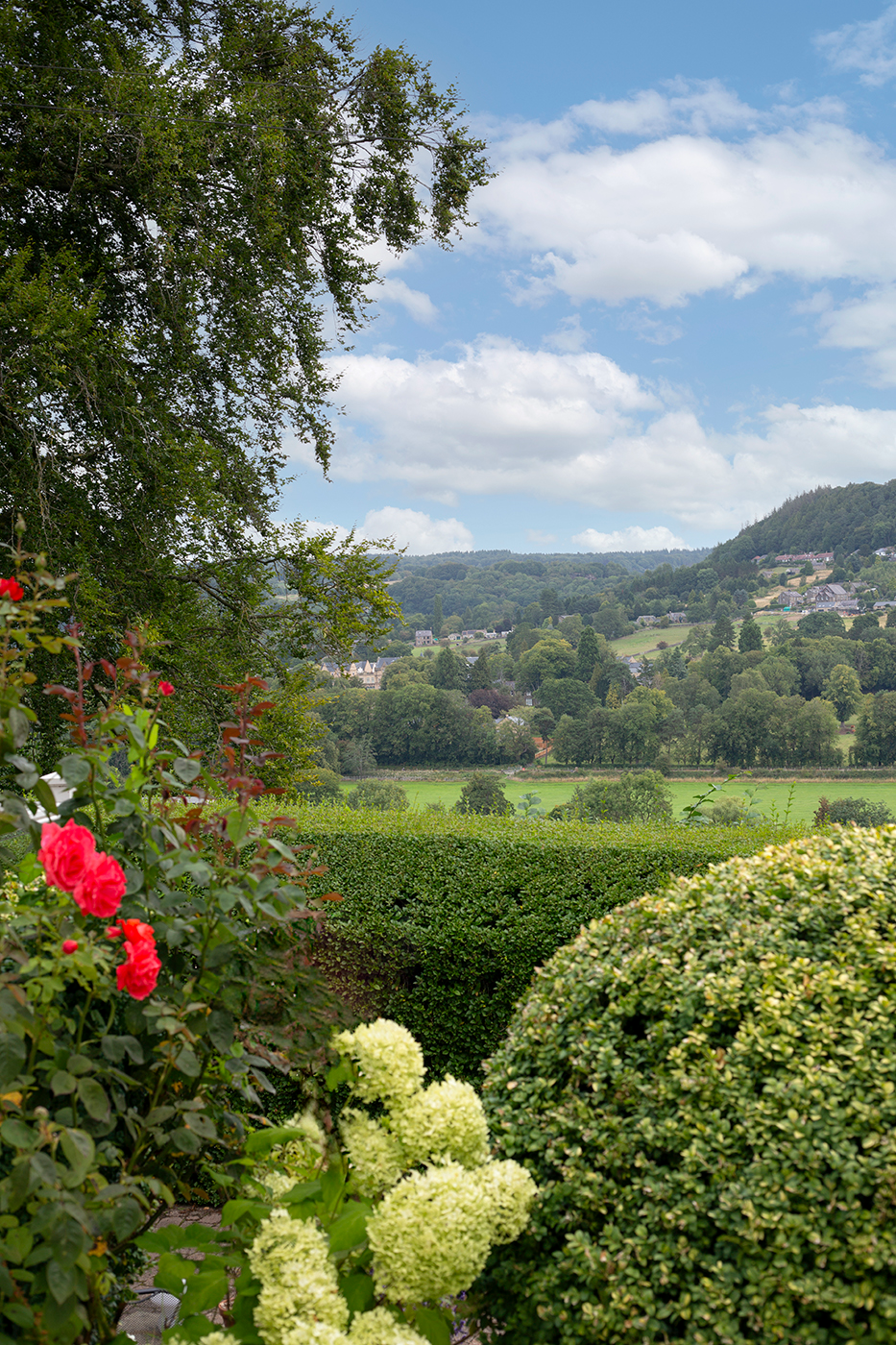 Tuscany Seasoned Garden View Surroundings