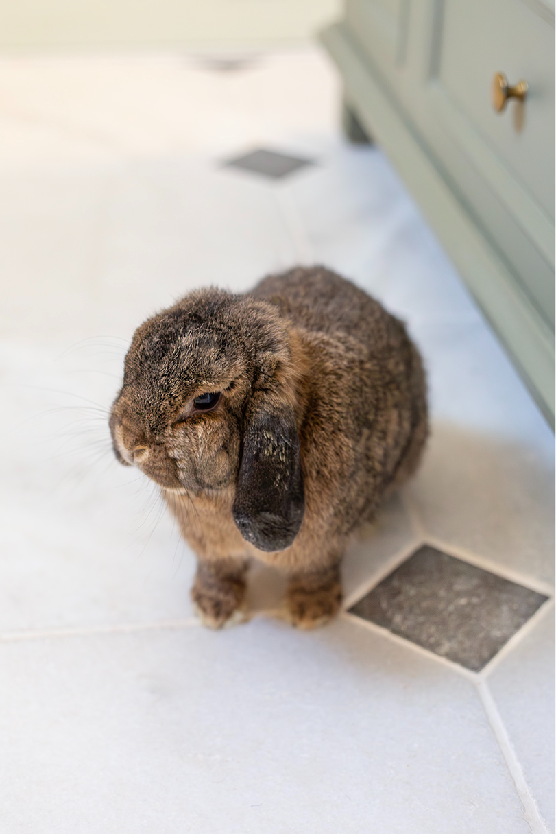 Parisian Manoir Marble Tiles Hoppy Home Tiggy