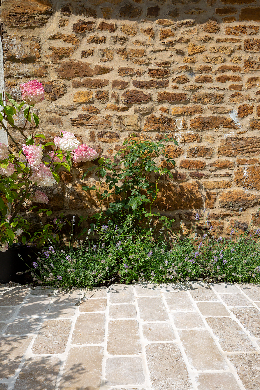 Stone wall with blooming pink and white hydrangeas on the left. Lavender plants grow below on a sunlit Sorrento Aged Tumbled Limestone cobblestone pathway, evoking a serene garden scene.