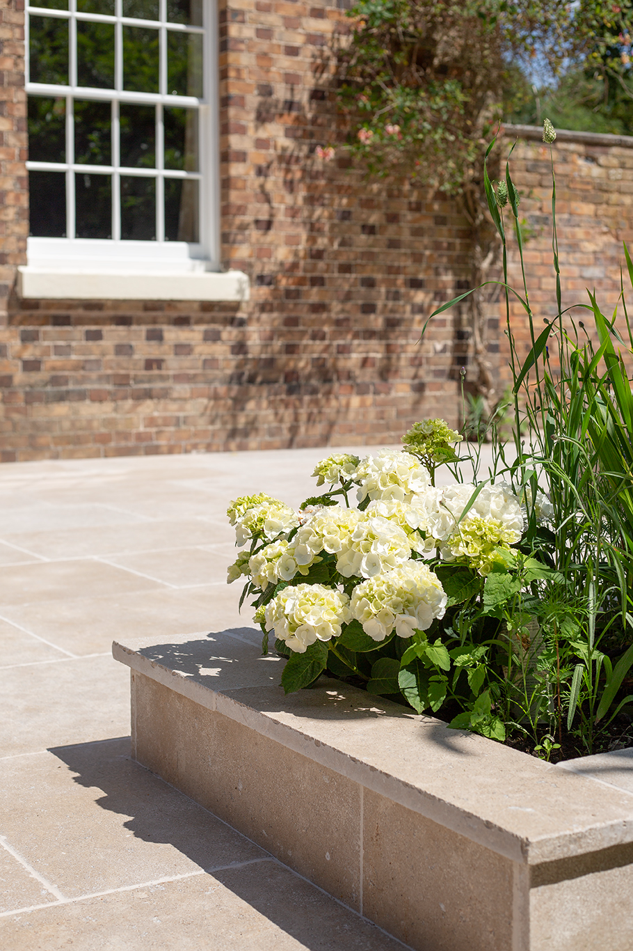 A sunlit Dijon Seasoned Limestone patio  features a raised planter containing blooming white hydrangeas. A brick wall and paned window are in the background.
