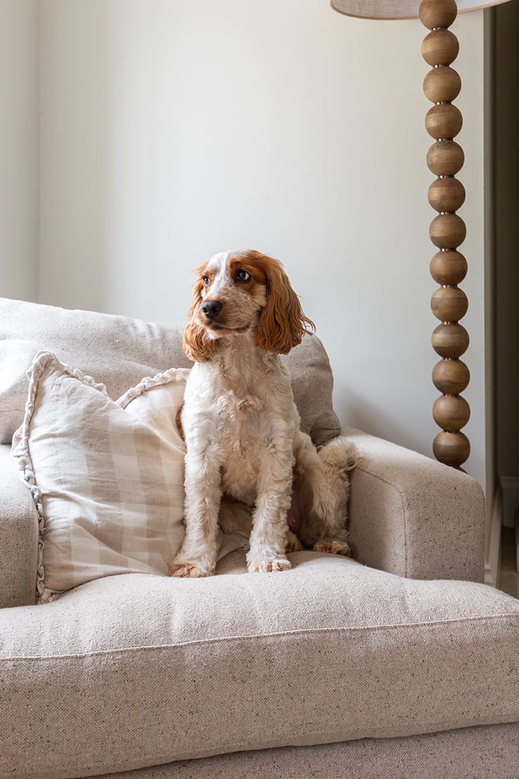 Sorrento Aged Tumbled Limestone Mable the Dog