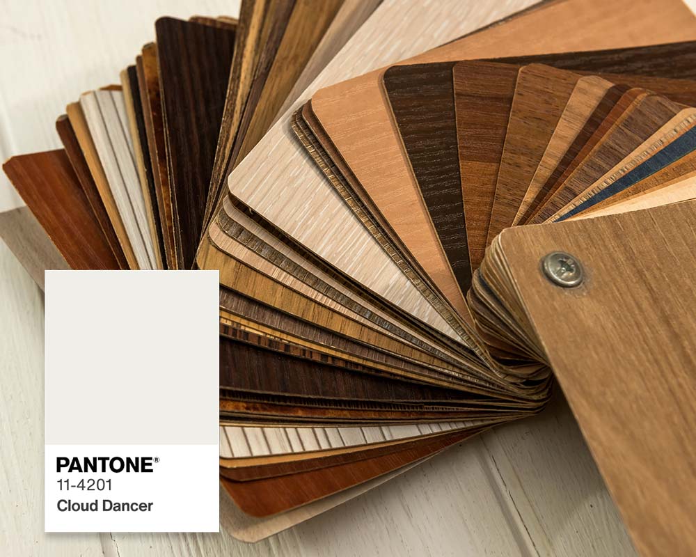 Wood flooring swatches paired with Pantone Cloud Dancer paint chip