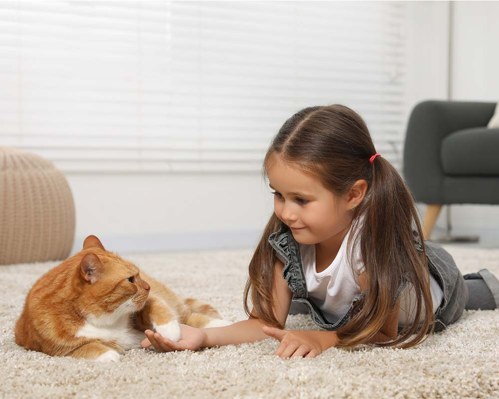 Avoid Common Flooring Mistakes