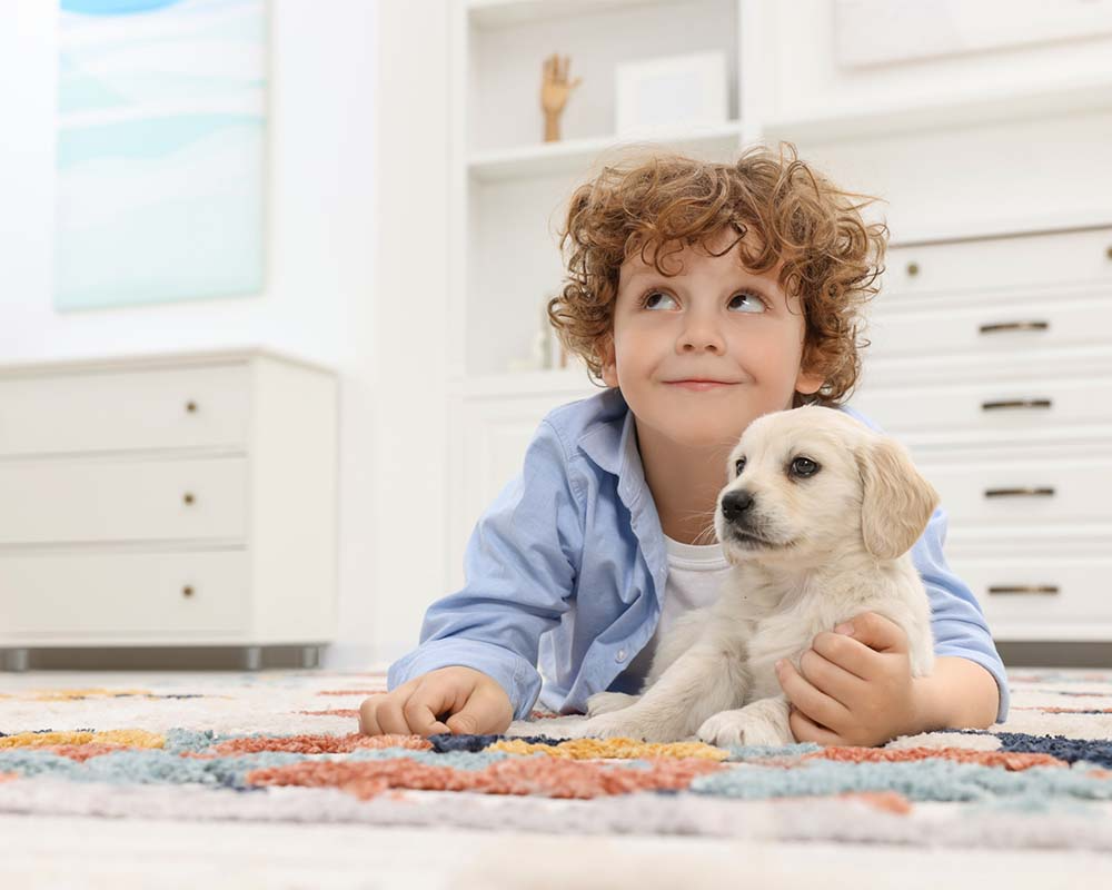Classic dining room with antique style furnishings and mid tone brown wood flooring Little boy laying on a rug with a cute yellow lab puppy,