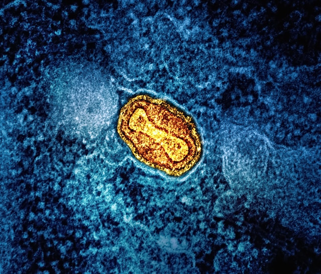 Diagram illustrating magnesium's role in cellular energy production.