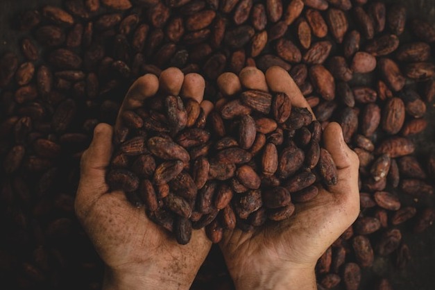 Un batido de proteÃna de chocolate con caldo de huesos en un vaso elegante.
